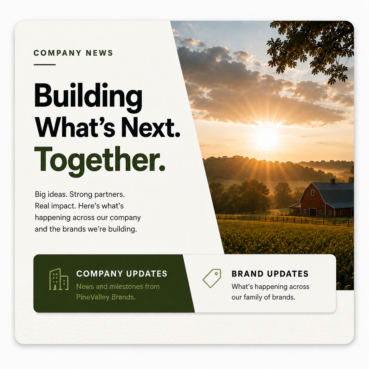 Company News 